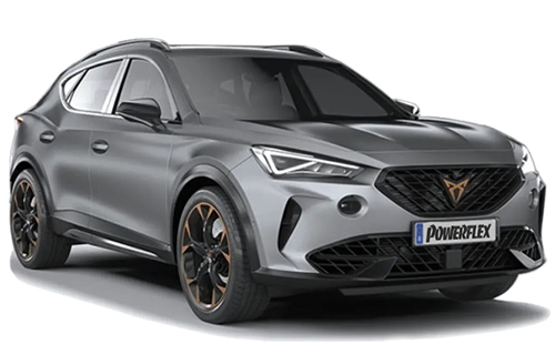 Cupra Formentor (2020 on)