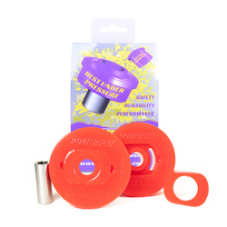 Tuleja dolnego tylnego mocowania silnika Powerflex Road Series Renault Megane Models & Megane II inc RS 225, R26 and Cup (2002-2008) PFF60-524R